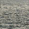 Kilbey, Steve - Whispers In The Static (GRAY VINYL) |
