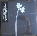Dreamweaver (CRYSTAL CLEAR VINYL) | Mint (M) Mint (M)