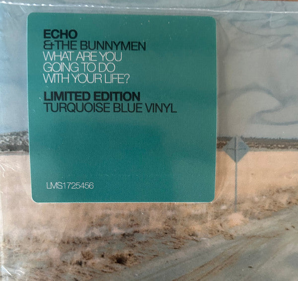 What Are You Going To Do With Your Life? (TURQUOISE VINYL) | Mint (M) Mint (M)