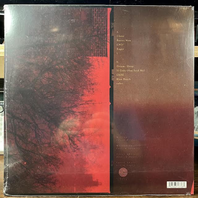 What Happens After (VINYL) | Mint (M) Mint (M)