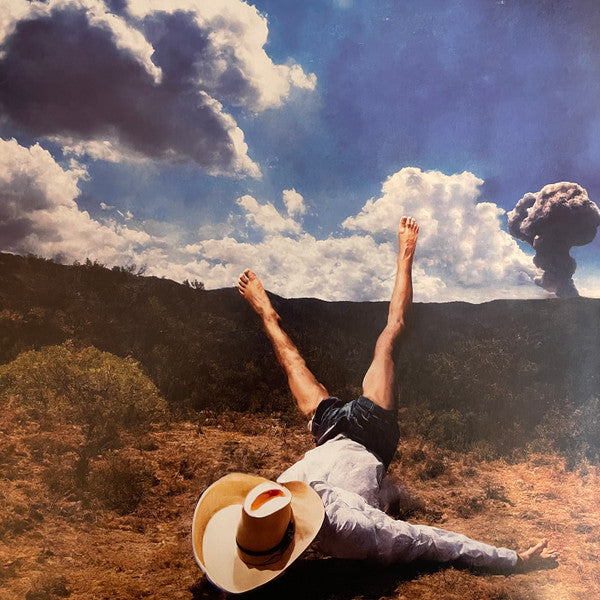Geese (11) - 3D Country (VINYL) |