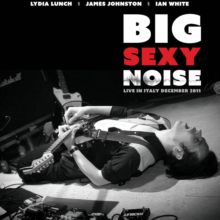 Big Sexy Noise - Live In Italy December 2011 (VINYL) |