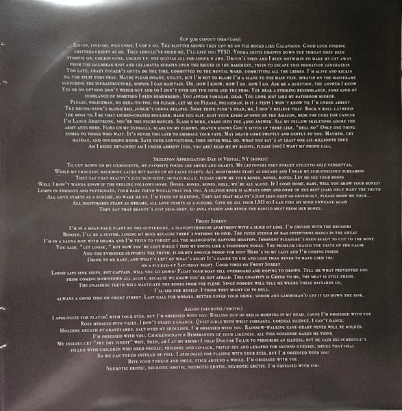 Everything is a Lot (2015 Mix VINYL) |