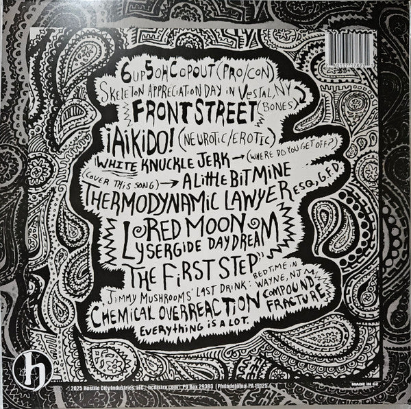 Everything is a Lot (2015 Mix VINYL) |