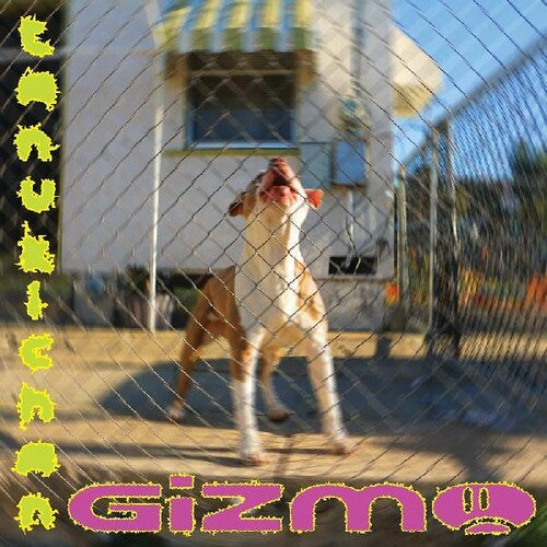 GiZMO | Mint (M) Mint (M)