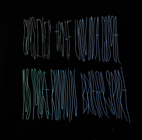 Merriweather Post Pavilion (2xVINYL) | Mint (M) Mint (M)