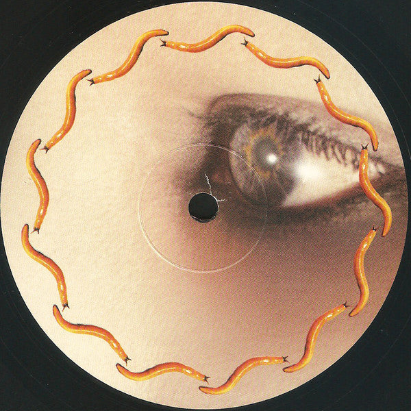 A Perfect Circle - Thirteenth Step | Mint (M) Mint (M)
