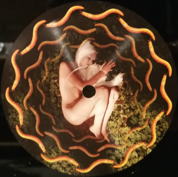 A Perfect Circle - Thirteenth Step | Mint (M) Mint (M)