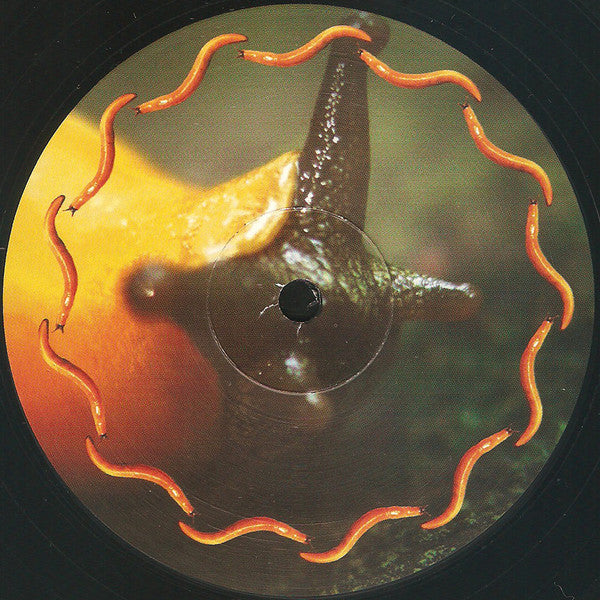 A Perfect Circle - Thirteenth Step | Mint (M) Mint (M)