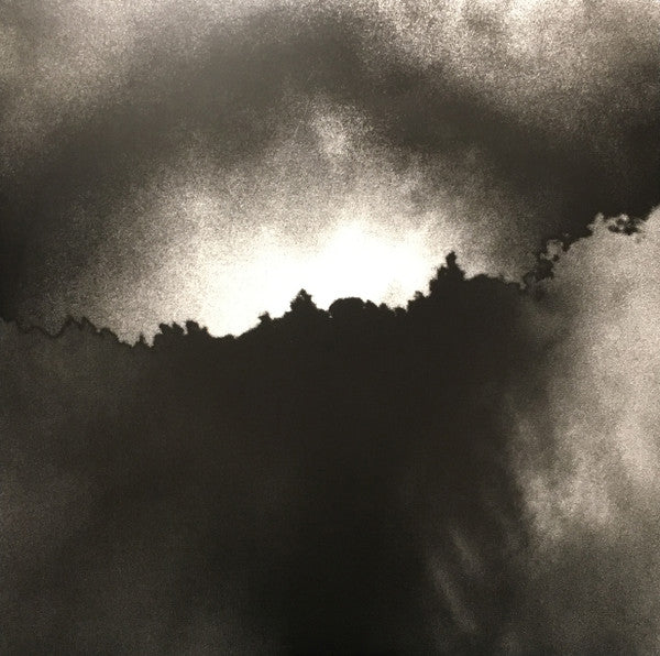 The National - Trouble Will Find Me | Mint (M) Mint (M)