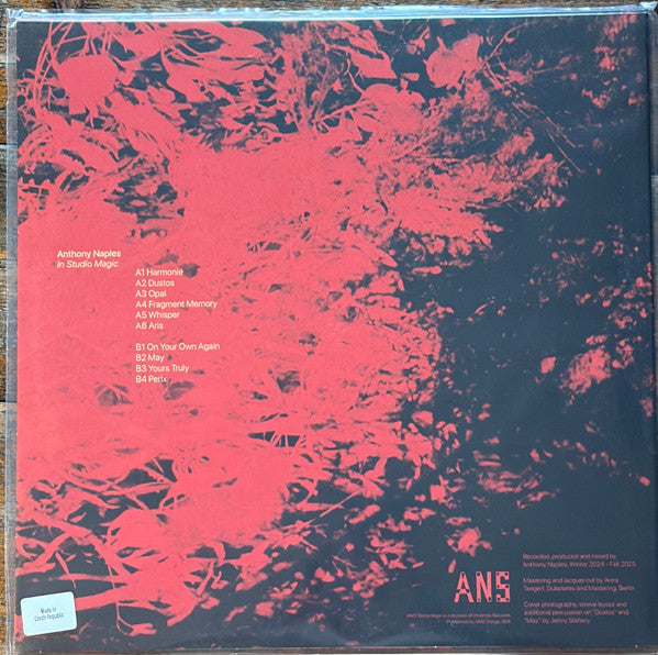 Anthony Naples - In Studio Magic (VINYL) | Mint (M) Mint (M)