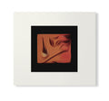 Susumu Yokota - The Boy And The Tree (Skintone Edition)[CD Version] | Mint (M) Mint (M)