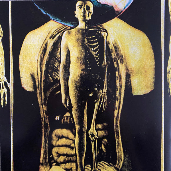 Nocturnal Emissions - Cathedral (2xVINYL) |