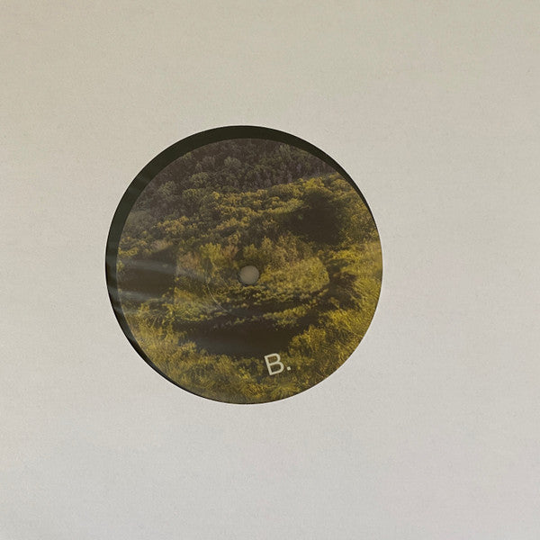 Six Songs For Invisible Gardens | Mint (M) Mint (M)