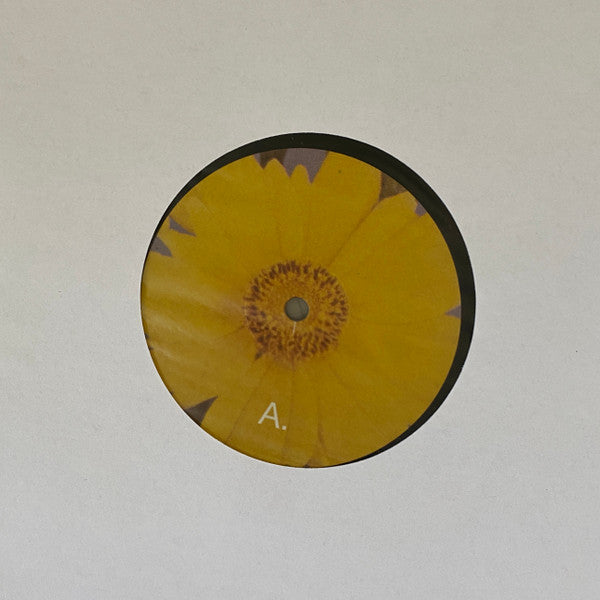 Six Songs For Invisible Gardens | Mint (M) Mint (M)