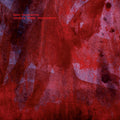 Chindia Tower Impalements Music CD