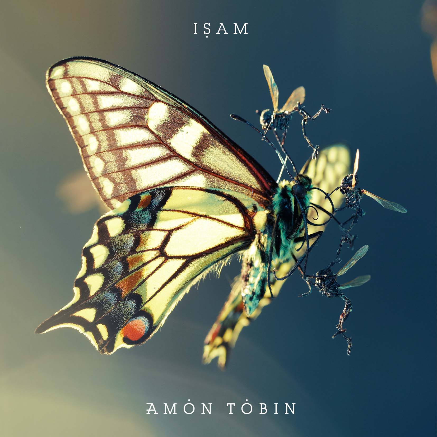 ISAM (Ltd Book & CD) Music CD