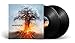 SKYFORGER Vinyl Record
