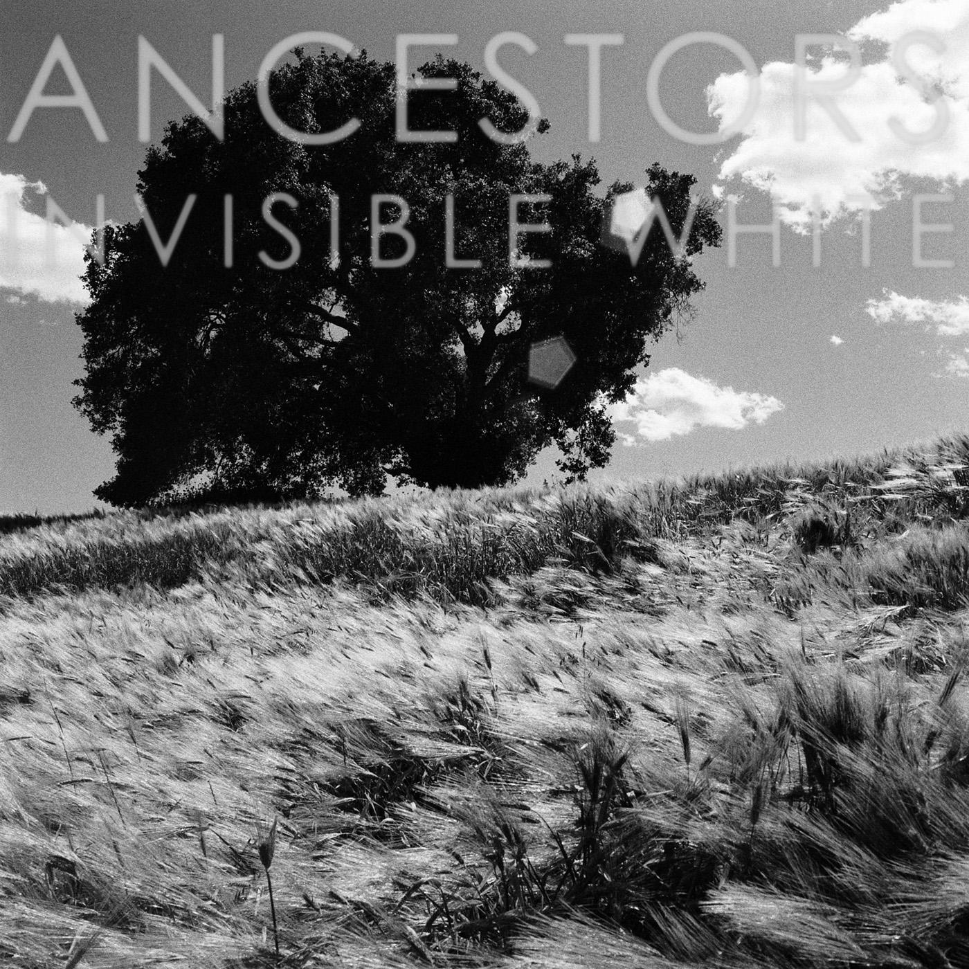 Invisible White Music CD