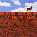 Red Dirt Music CD