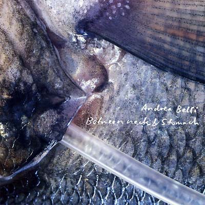 Between Neck & Stomach Music CD