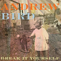 Break It Yourself Music CD