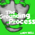 The Grounding Process Vinyl Record