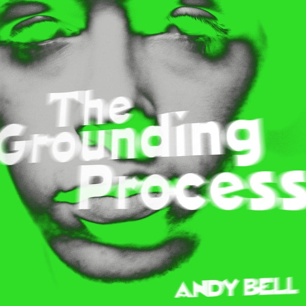 The Grounding Process Vinyl Record