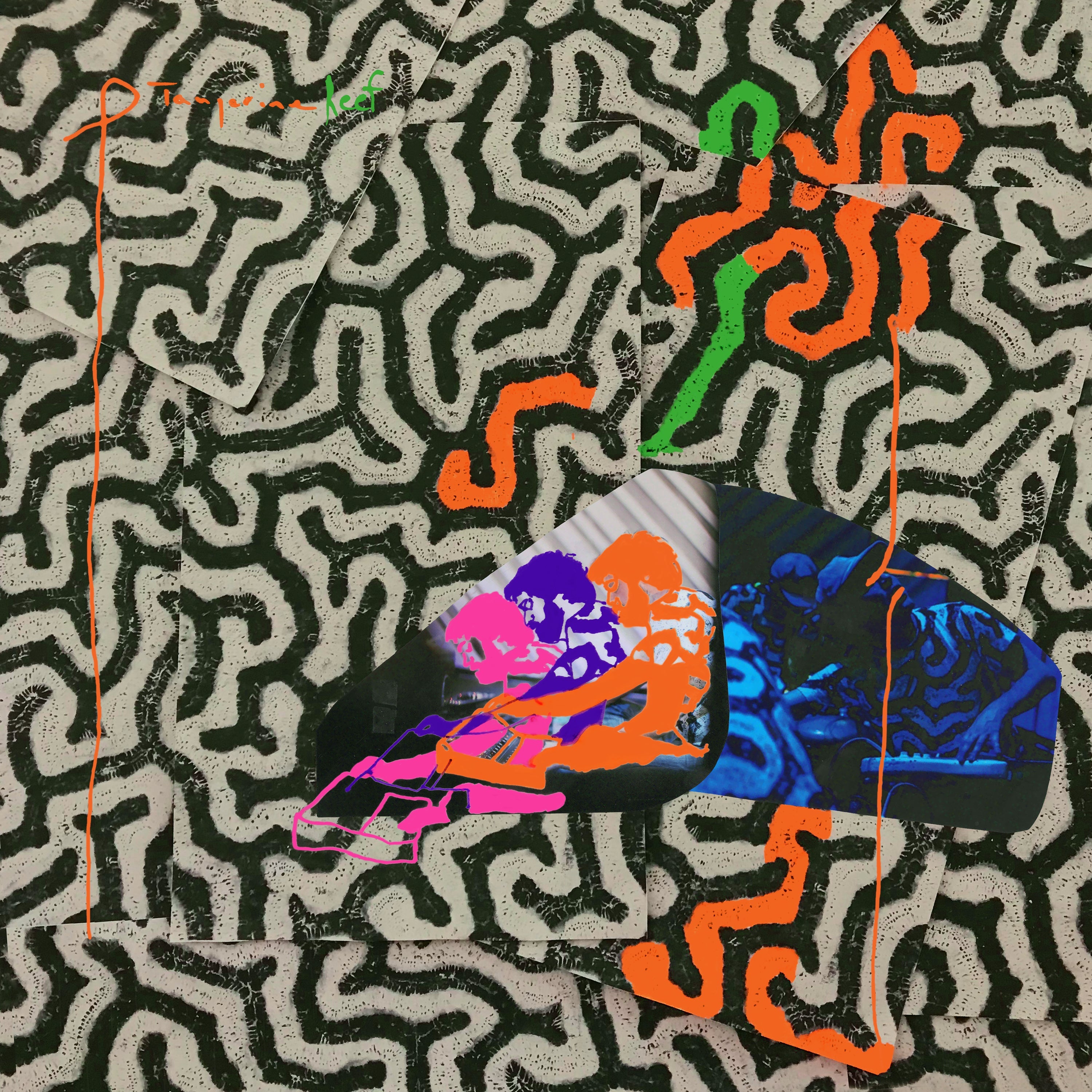 Tangerine Reef Vinyl Record