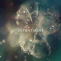 ANNA - Intentions [2 LP] Vinyl Record