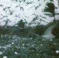 Mare's Tail (Vinyl) Vinyl Record