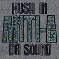 ANTI-G - Kush in da Sound Vinyl Record