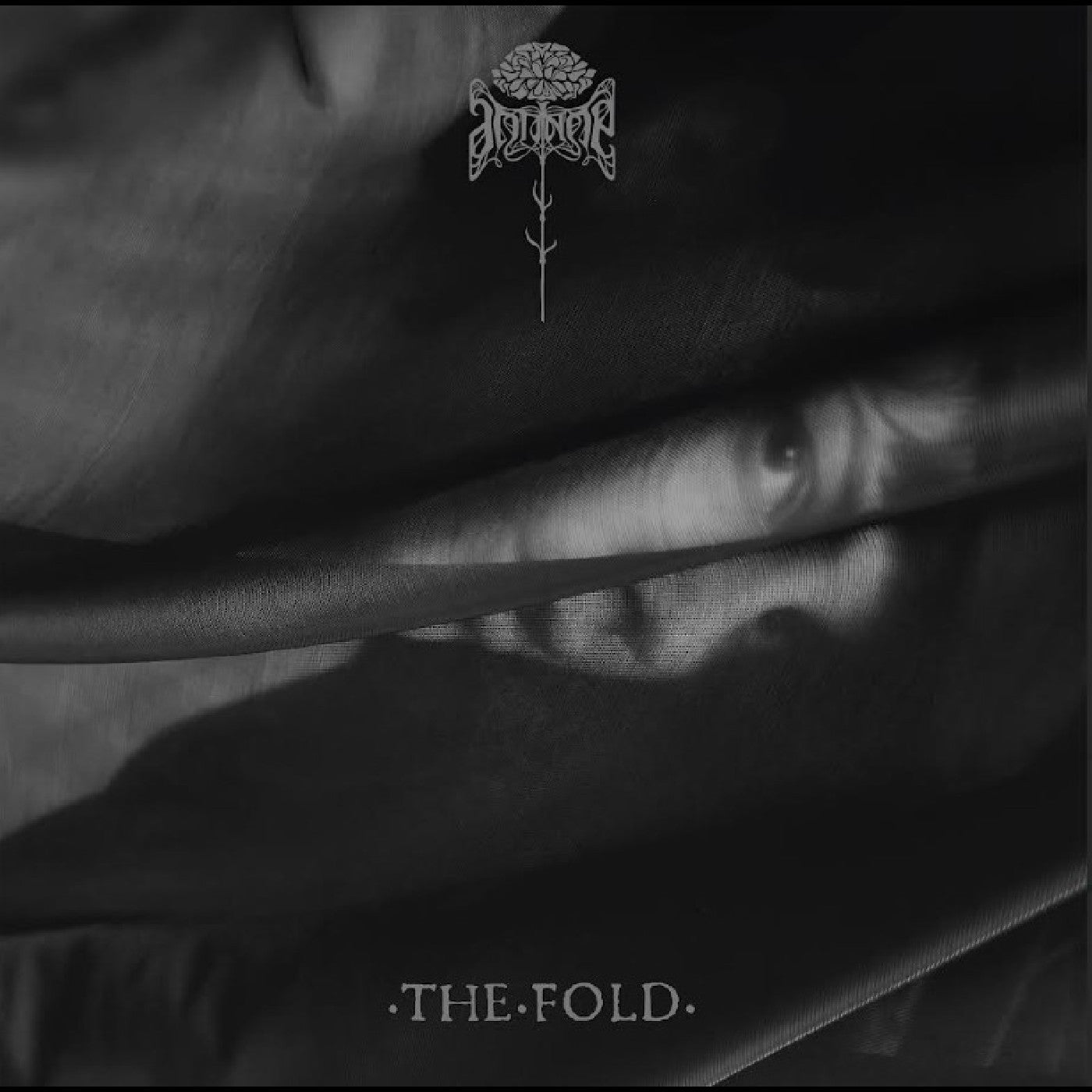 The Fold Music CD