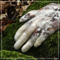 Virtuous.scr Music CD