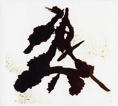 Einzelkämpfer (Lone Warrior) Music CD