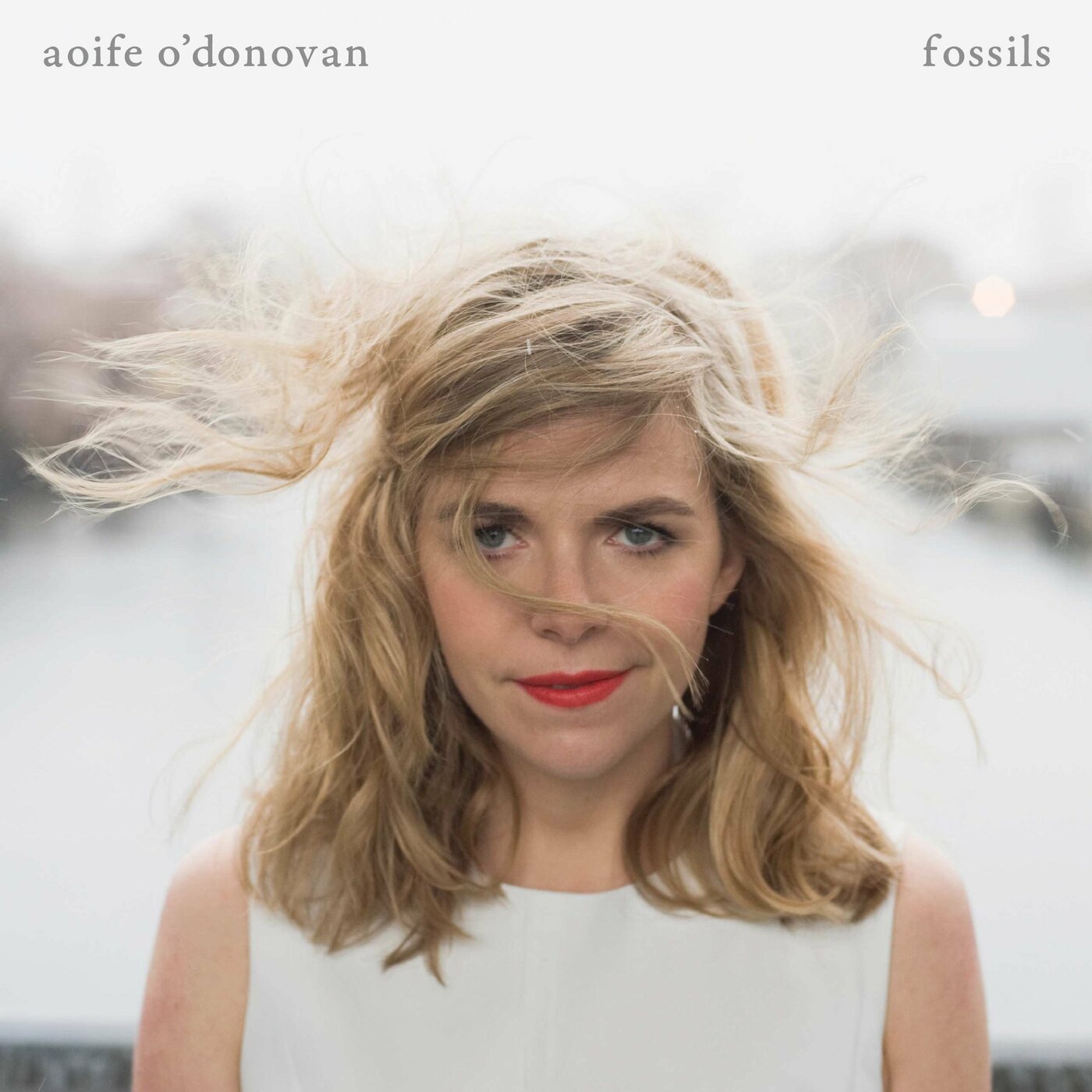 Fossils Music CD
