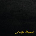 Daily Bread (Black & Yellow Starburst Vinyl) Vinyl Record