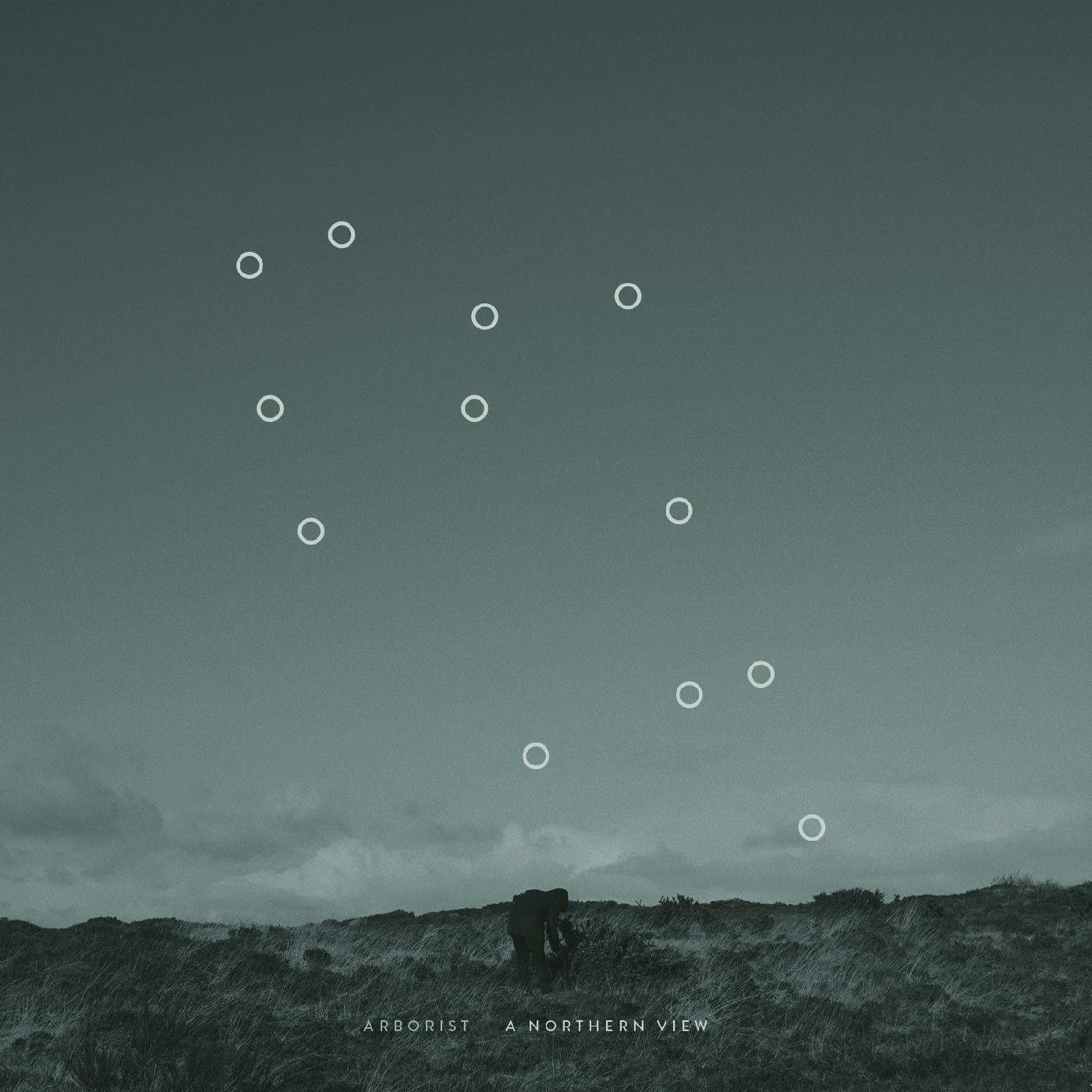 A Northern View Vinyl Record