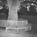A New Place 2 Drown (Instrumentals) Vinyl Record