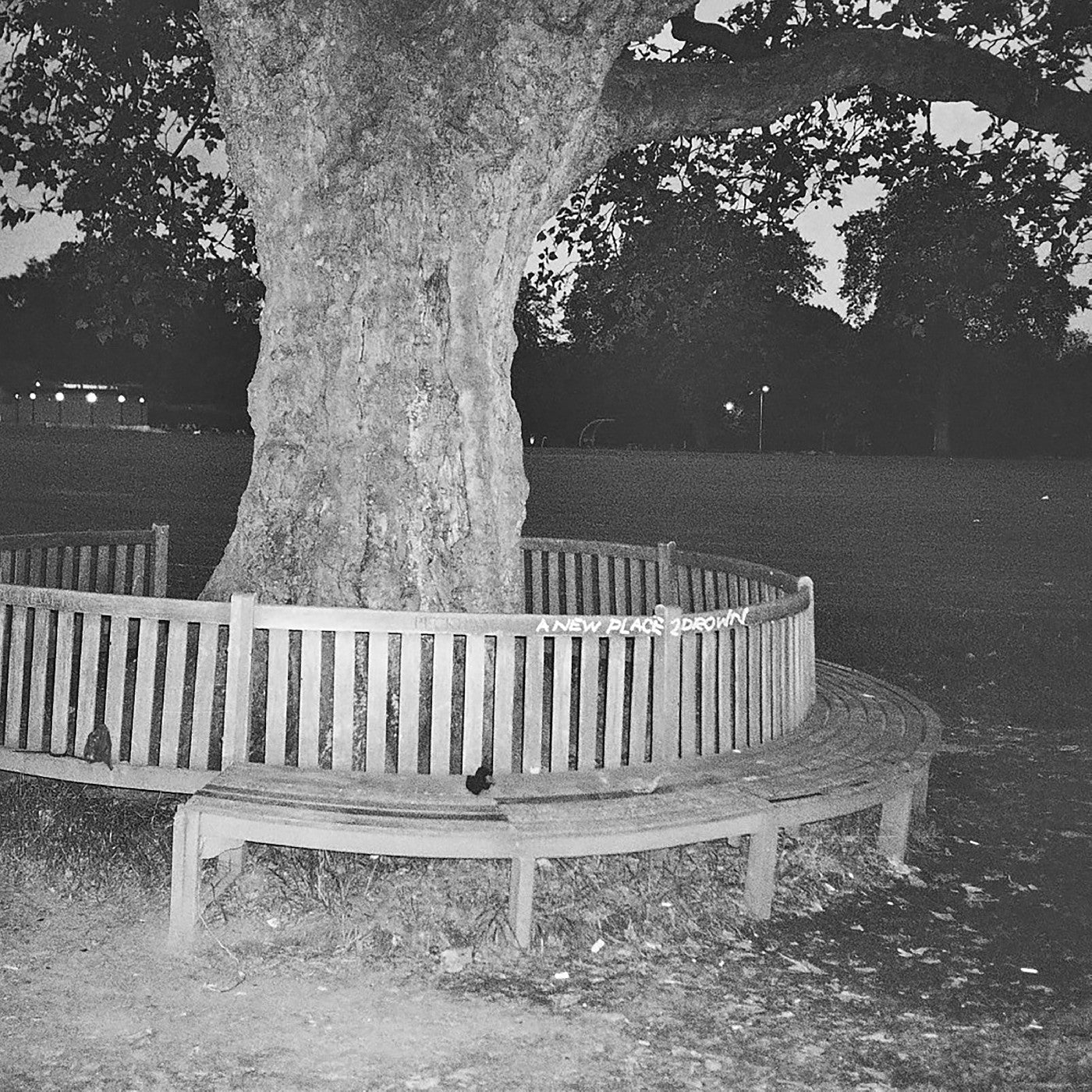 A New Place 2 Drown (Instrumentals) Vinyl Record