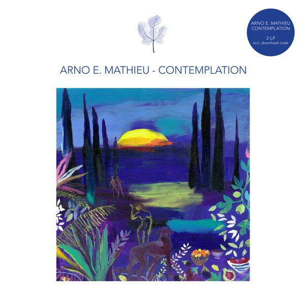 Contemplation Vinyl Record