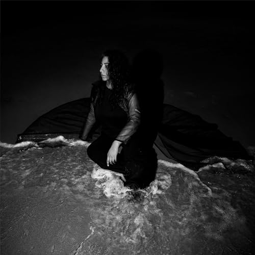 Night Reign [LP] (Vinyl) Vinyl Record