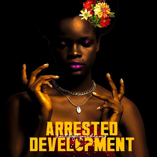 Arrested Development Don't Fight Your Demons (2 Lp's) Vinyl Record