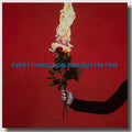 As December Falls - Everything's On Fire But I'm Fine [Explicit Content] (Deluxe Edition) |