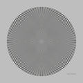 Radial |