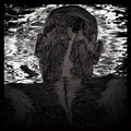 Lit Harness [CD]