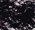 Presences Of Absences Music CD
