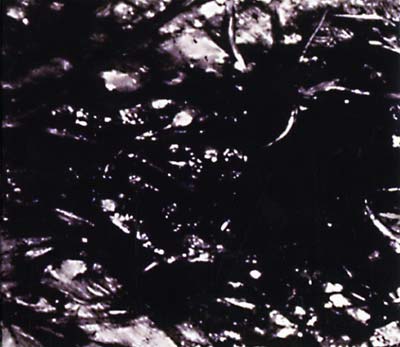 Presences Of Absences Music CD