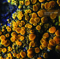 Cells #2 Music Cassette Tape