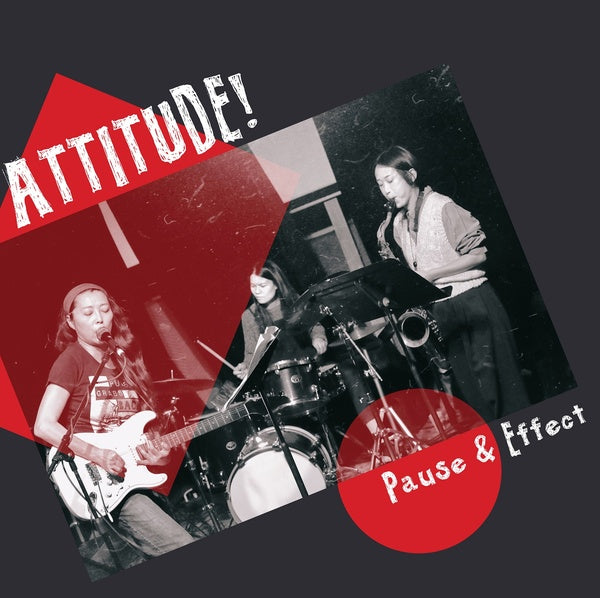 Pause & Effect Vinyl Record